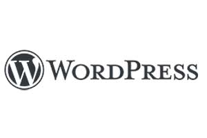 Web Napoli Agency: partner WordPress