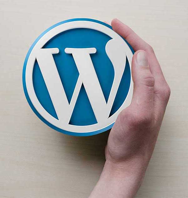 Perché utilizziamo WordPress? | Web Napoli Agency